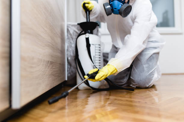 Best Best Pest Control Companies  in Bridgeport, AL