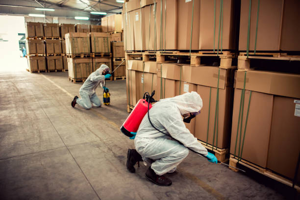 Best Best Pest Control Companies  in Bridgeport, AL