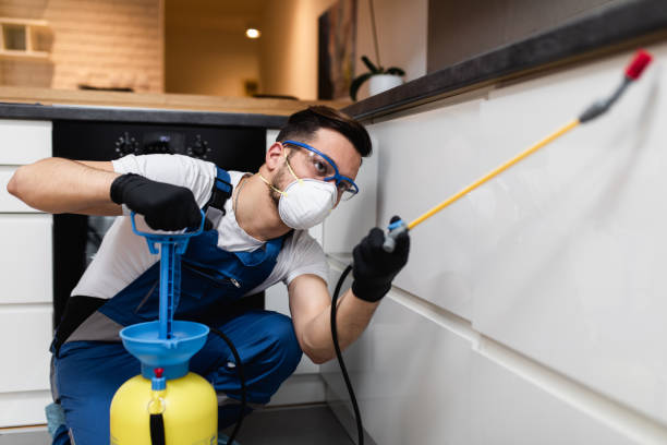 Reliable Bridgeport, AL Pest Control Solutions