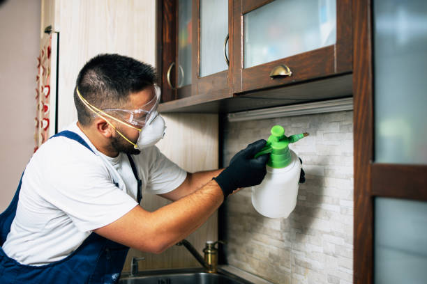 Pest Control Cost in Bridgeport, AL