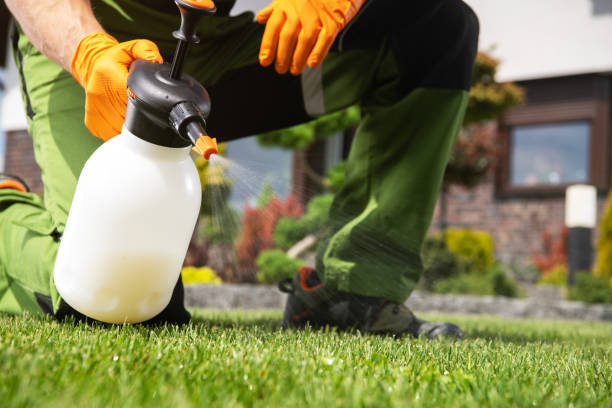 Best Pest Removal Services  in Bridgeport, AL