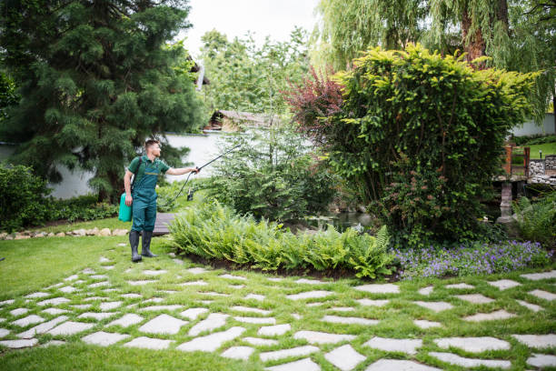 Professional Pest Control in Bridgeport, AL