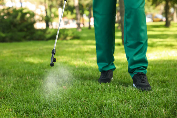  Bridgeport, AL Pest Control Pros