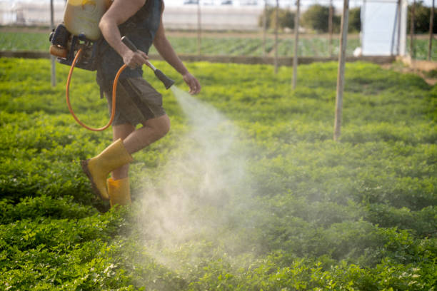 Best Pest Control Cost  in Bridgeport, AL