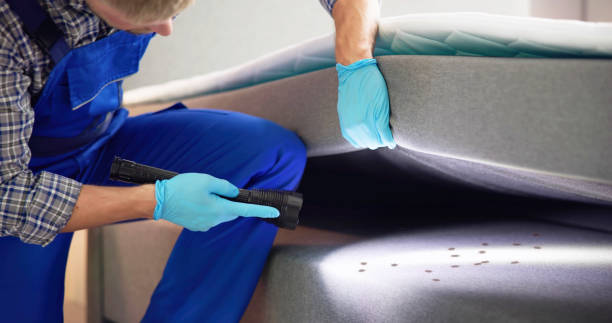 Best Ant Control Services  in Bridgeport, AL