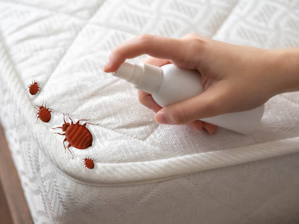 Best Pest Control Treatment  in Bridgeport, AL