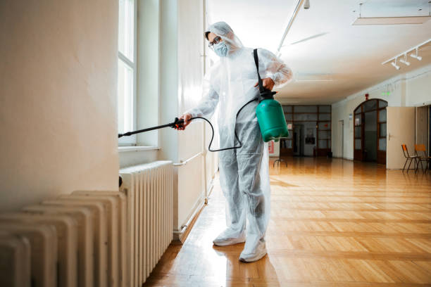 Best Local Pest Control Services  in Bridgeport, AL